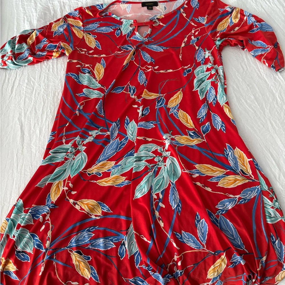 Red and Blue Patterned Dress